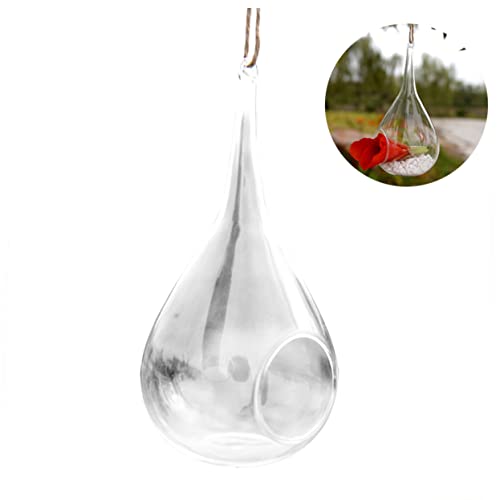 DECHOUS Glasvase Zum Aufhängen Glasvase Halbkugel Blumenvase Zum Aufhängen Sukkulenten Glasvase Hängende Terrarium Vase Terrarium Tischvase Hängende Glasvase Halterung Haushalt von DECHOUS