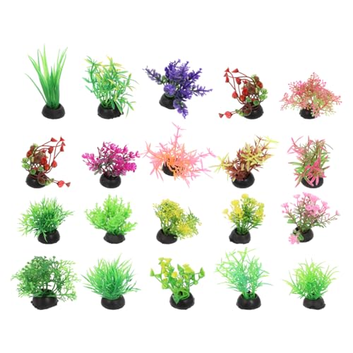 DECHOUS Künstliche Aquariumpflanzen: Mini-Kunststoff-Aquarium-Pflanzen, Dekoration, Wassergras, Aquarium-Zubehör, gemischter Stil, 5 x 2,4 x 2,4 cm, 20 Stück DECHOUS Künstliche Aquariumpflanzen: Mini-Kunststoff-Aquarium-Pflanzen, Dekoration, Wassergras, Aquarium-Zubehör, gemischter Stil, 5 x 2,4 x 2,4 cm, 20 Stück von DECHOUS