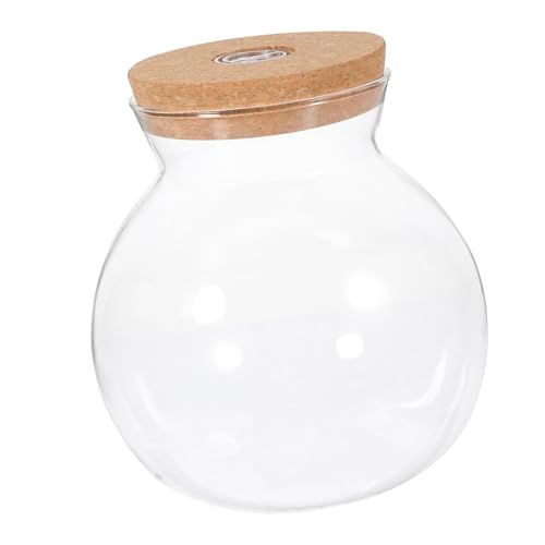 DECHOUS Led-glasflasche für Mikrolandschaften mit Led-licht Borosilikatglas DIY Ökoflasche für Aquarium-Dekoration und Kreative Tischdekoration Transparentes Design Geeignet für Innen DECHOUS Led-glasflasche für Mikrolandschaften mit Led-licht Borosilikatglas DIY Ökoflasche für Aquarium-Dekoration und Kreative Tischdekoration Transparentes Design Geeignet für Innen von DECHOUS