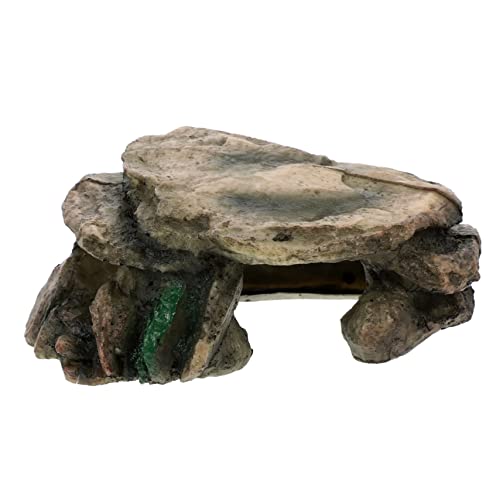 DECHOUS Resin Schildkröten Kletterplattform mit Versteck Höhle Langlebiges Terrarium Zubehör Dekorative Reptilien Ruheplattform für Aquarium und Gartendeko von DECHOUS