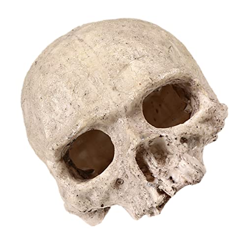 DECHOUS Resin Skull Aquarium Versteck Höhle aus Robustem Harz Fischfreundliche Dekoration für Fischbecken und Terrarien Langlebiges Wasserbeständiges Aquarium Ornament für Garnelen und DECHOUS Resin Skull Aquarium Versteck Höhle aus Robustem Harz Fischfreundliche Dekoration für Fischbecken und Terrarien Langlebiges Wasserbeständiges Aquarium Ornament für Garnelen und von DECHOUS