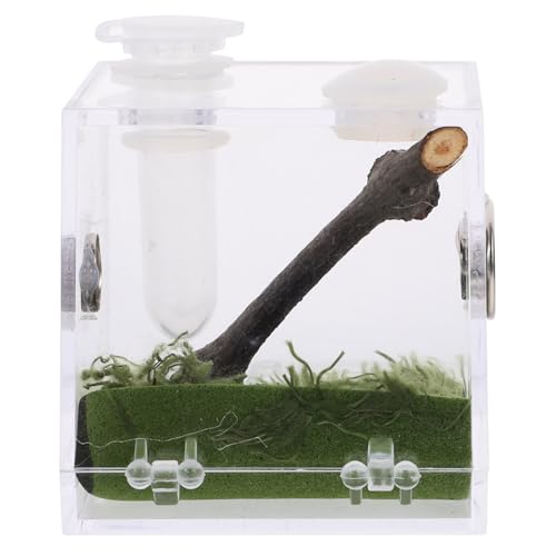 DECHOUS Transparente Spinnen Fütterungsbox Reptilien Aufzucht Terrarium mit Lüftung Stabile Mittlere für Vogelspinnen Insekten und Kleine Reptilien Beobachtung von DECHOUS