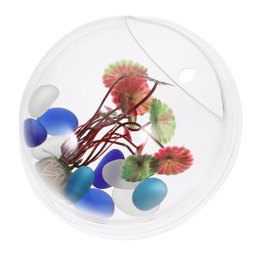 DECHOUS Wandmontierter Fischbowl Aquarium für Zuhause Durchmesser Transparentes Design für Fische und Pflanzen Platzsparend und Dekorativ DECHOUS Wandmontierter Fischbowl Aquarium für Zuhause Durchmesser Transparentes Design für Fische und Pflanzen Platzsparend und Dekorativ von DECHOUS
