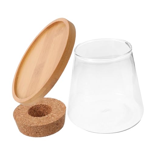 DECOMELODY 1 Satz Hydroponisches Aquarium Aus Glas Fisch Dekorationen Netz Fischschalen Betta Fisch Schwamm Panzer Mini Tischaquarium Schüssel Bausatz Seifenblasenschale Anlage Deckel Bambus DECOMELODY 1 Satz Hydroponisches Aquarium Aus Glas Fisch Dekorationen Netz Fischschalen Betta Fisch Schwamm Panzer Mini Tischaquarium Schüssel Bausatz Seifenblasenschale Anlage Deckel Bambus von DECOMELODY