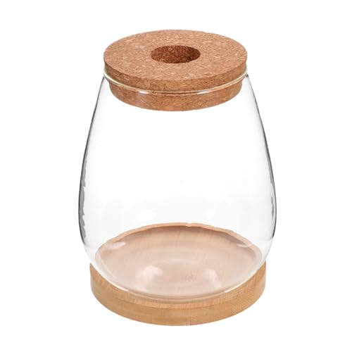 DECOMELODY 1 Satz Terrarium Flasche DIY Pflanzen Terrarium für Landschaften Ökologische Flasche mit Lochdeckel und Bambusgriff für Dekoration im und Außenbereich von DECOMELODY