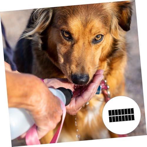 DECOMELODY 16 Stück Teiliges Baumwoll filternetz Haustier Trinkbrunnen Ersatzfilter für Katzen und Hunde Kompakt Langlebig Einfach zu Verwenden Geeignet für Haushalts wasserbrunnen und DECOMELODY 16 Stück Teiliges Baumwoll filternetz Haustier Trinkbrunnen Ersatzfilter für Katzen und Hunde Kompakt Langlebig Einfach zu Verwenden Geeignet für Haushalts wasserbrunnen und von DECOMELODY
