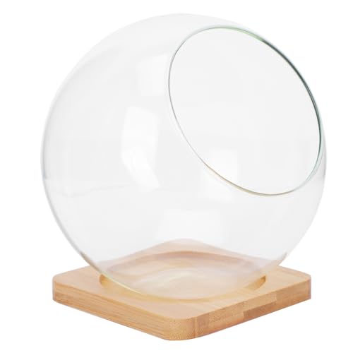 DECOMELODY 1Satz Micro Landschaftsvasen Sukkulentglas Blumentöpfe für Dekoration DIY Terrarien mit Schrägem Glasbehälter und Bambusunterlage DECOMELODY 1Satz Micro Landschaftsvasen Sukkulentglas Blumentöpfe für Dekoration DIY Terrarien mit Schrägem Glasbehälter und Bambusunterlage von DECOMELODY