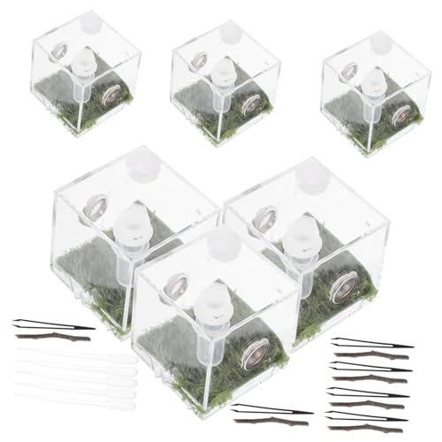 DECOMELODY 2 Sätze Aufzuchtbox aus klarem Kunststoff für Spinnen und Insekten Transparente Belüftete Reptilien Fütterungsbox Robustes Terrarium für Kleines Krabbelvieh Langlebig und Leicht DECOMELODY 2 Sätze Aufzuchtbox aus klarem Kunststoff für Spinnen und Insekten Transparente Belüftete Reptilien Fütterungsbox Robustes Terrarium für Kleines Krabbelvieh Langlebig und Leicht von DECOMELODY