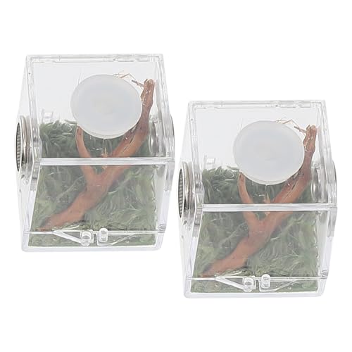 DECOMELODY 2 Satz Zuchtbox für Springspinnen Transparente Kleine Aufzuchtbox aus Langlebigem Material Sichere Futter und Transportbox für Kleine Haustiere und Insekten für Beobachtung und von DECOMELODY
