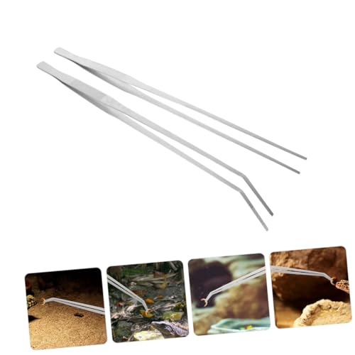 DECOMELODY 2 Stück Extra Große Metall Fütterungszangen für Reptilien Lange Pinzetten mit Geradem und Gebogenem Kopf Ergonomisch für Aquarium Futteraufnahme und Terrarienfütterung DECOMELODY 2 Stück Extra Große Metall Fütterungszangen für Reptilien Lange Pinzetten mit Geradem und Gebogenem Kopf Ergonomisch für Aquarium Futteraufnahme und Terrarienfütterung von DECOMELODY