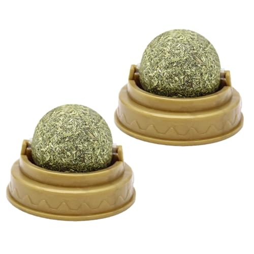 DECOMELODY 2 Stück Katzenminze Ball Katzenleckerei mit Zahnpflege Katzenspielzeug Verdauung und der Zähne Sicher und Langlebig Minzgeschmack Spielerisch und Gesund von DECOMELODY