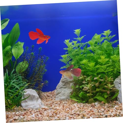 DECOMELODY 2 Stück Künstliche Aquarium Deko Kleine Langlebige Leuchtende Goldfische aus Kunststoff Realistische Fische für Aquarien Wasserbeständig Dekorativ für Zuhause und von DECOMELODY