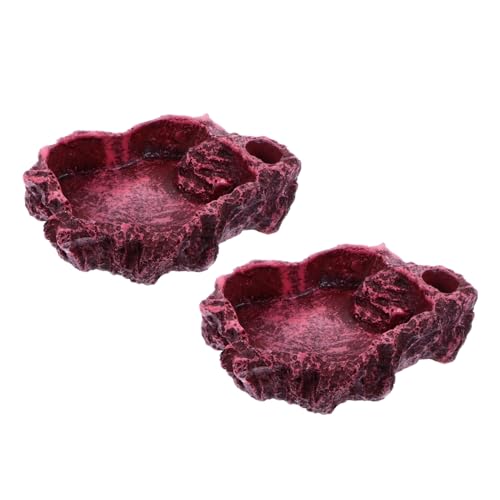 DECOMELODY 2 Stück Reptilien Futter und Wasserschale Kleine Runde Schalen für Gecko Schildkröte Natürlicher Farbton Dekorativ und Praktisch für Terrarium Tägliche Fütterung DECOMELODY 2 Stück Reptilien Futter und Wasserschale Kleine Runde Schalen für Gecko Schildkröte Natürlicher Farbton Dekorativ und Praktisch für Terrarium Tägliche Fütterung von DECOMELODY