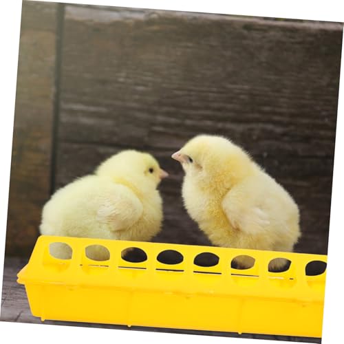 DECOMELODY 2 Stück Teiliges Geflügel Futtertröge Langlebiger Kunststoff Leicht zu Reinigen Großer Futterbehälter für Tauben und Hühner Praktische Käfigmontage Hygienisch und Langlebig von DECOMELODY