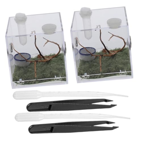DECOMELODY 2Sätze Zuchtbehälter für Reptilien und Spinnen Transparente Acrylboxen mit Futtertools für Schnecken Insekten und Kleine Robust Beobachten von DECOMELODY