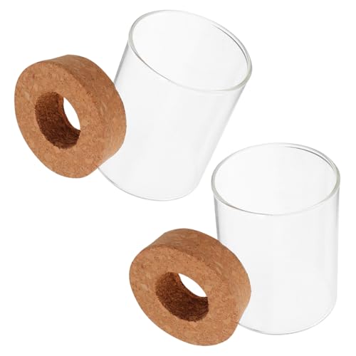 DECOMELODY 2pcs Desktop Glaspflanze Terrarium Pflanzer Für Sukkulente Moos Miniaturgarten Landschaft Betta Fischtank Innenpflanzen Büro Dekoration 250 Ml von DECOMELODY