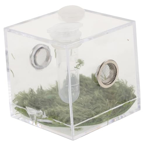 DECOMELODY Aufzuchtbox für Springspinnen Mittelgroß Leicht mit Futteröffnung und Belüftung Geeignet für Springspinnen Geckos Grillen Schnecken und Kleine Reptilien von DECOMELODY