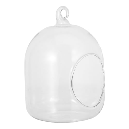 DECOMELODY Flaschen Terrarium Kleines Glasgefäß Mit Moos Mikrolandschaftsflasche Für Bürotisch Oder Heimdekoration Pflegeleichtes Terrarium Für Kleine Blumenvase DECOMELODY Flaschen Terrarium Kleines Glasgefäß Mit Moos Mikrolandschaftsflasche Für Bürotisch Oder Heimdekoration Pflegeleichtes Terrarium Für Kleine Blumenvase von DECOMELODY