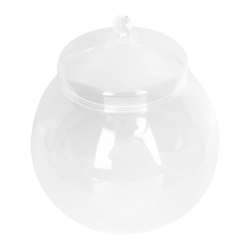 DECOMELODY Glas Terrarium mit Deckel Mikrolandschaft DIY Flasche Transparent Ökologisches Pflanzengefäß für Innenraum Dekoration Büro und Zuhause DECOMELODY Glas Terrarium mit Deckel Mikrolandschaft DIY Flasche Transparent Ökologisches Pflanzengefäß für Innenraum Dekoration Büro und Zuhause von DECOMELODY