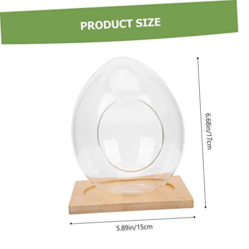 DECOMELODY Großes DIY Terrarium Ei Form mit Sockel Multifunktionales Hydroponik Pflanzen Display Dekoratives Glasgefäß für Sukkulenten Mikrolandschaft Wohnraumdekoration von DECOMELODY