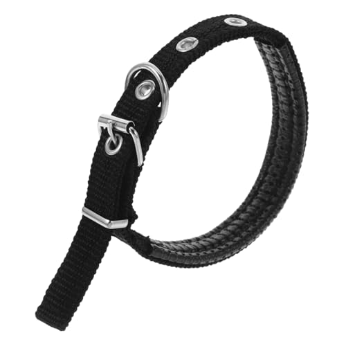 DECOMELODY Haustierhalsband katzenhalsband für Leine und Robuster Hundehalsring mit Leinenring Kätzchen Zubehör Ersatz-Hundehalsband Polyester Black von DECOMELODY