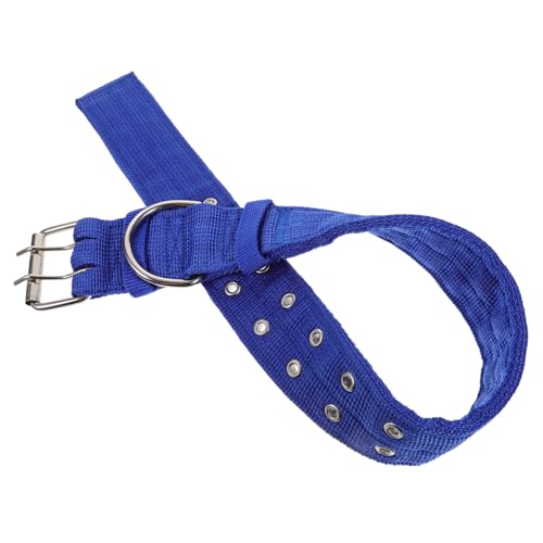 DECOMELODY Hundehalsband für Hunde Langlebiges Leichtes und Bequemes Haustierzubehör Modischer Blauer XL Hundekragen mit Einzigartigem Design Umweltfreundlich und Sicher für Langanhaltenden von DECOMELODY