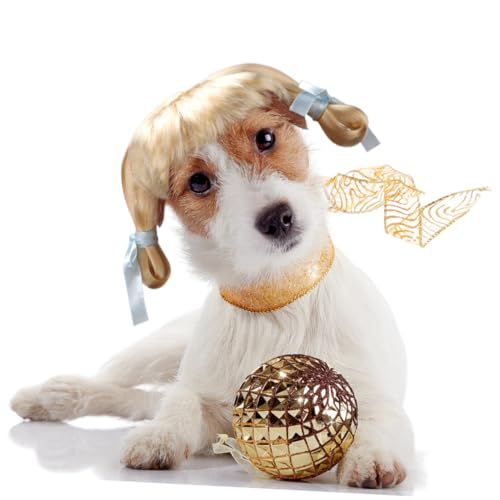 DECOMELODY Hundeparty Perücke in Hellgold Lustiges Pet Wig mit Doppelzöpfen Leichtes Hundezubehör für Welpen und Kleine Hunde Modisches Haustier Accessoire für Kostüme und Auftritte DECOMELODY Hundeparty Perücke in Hellgold Lustiges Pet Wig mit Doppelzöpfen Leichtes Hundezubehör für Welpen und Kleine Hunde Modisches Haustier Accessoire für Kostüme und Auftritte von DECOMELODY