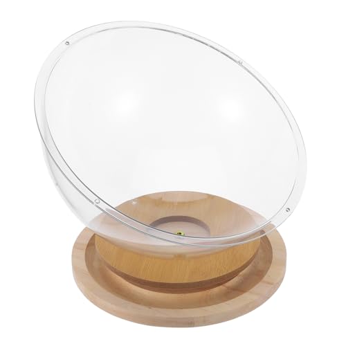 DECOMELODY Katzenhaus, Kätzchenbett, Nest, Katzenhütte, Katzenmöbel Aus Holz, Kätzchennest, Transparentes Katzenhaus Für Große Kleine Katzen Im Innenbereich DECOMELODY Katzenhaus, Kätzchenbett, Nest, Katzenhütte, Katzenmöbel Aus Holz, Kätzchennest, Transparentes Katzenhaus Für Große Kleine Katzen Im Innenbereich von DECOMELODY