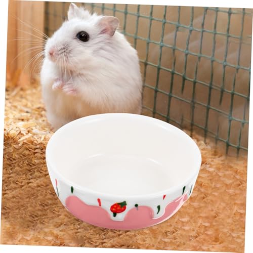 DECOMELODY Keramischer Hamster Futternapf und Wassernapf Kleine rutschfeste Kleintier Schale für Kaninchen Eichhörnchen und Andere Haustiere Pflegeleicht und Langlebig Vielseitig Einsetzbar von DECOMELODY