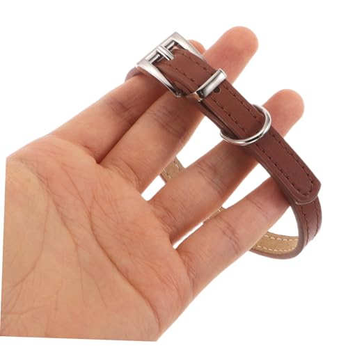 DECOMELODY Kleines Hundehalsband PU Verstellbar mit Sicherem Klickverschluss Leichtes und Komfortables Haustierhalsband für Hunde und Katzen S Geeignet für Besondere Anlässe und Alltag von DECOMELODY