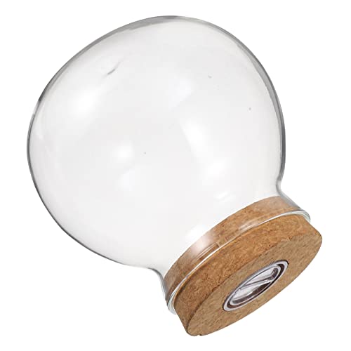 DECOMELODY LED Terrarium Glasflasche mit Integrierter Beleuchtung DIY Mikrolandschaftsbehälter für Pflanzen für Wohnräume und Cafés Kreatives Design für Entspannende DECOMELODY LED Terrarium Glasflasche mit Integrierter Beleuchtung DIY Mikrolandschaftsbehälter für Pflanzen für Wohnräume und Cafés Kreatives Design für Entspannende von DECOMELODY