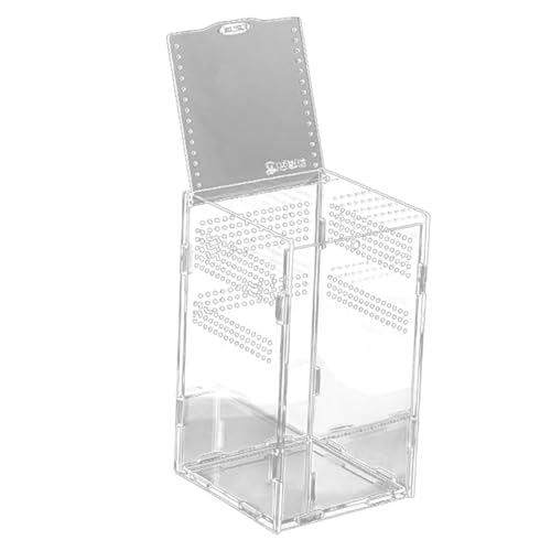 DECOMELODY Magnetische Klare Reptilienbox Wetterbeständig Reptilien Terrarium Lebensraum Behälter Für Spinnen Schildkröten Haustiere von DECOMELODY