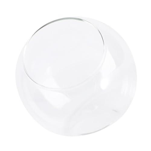 DECOMELODY Mini Glasflasche Øcm für DIY Mikrolandschaft Ökoflasche Pflanzglas Behälter Terrarium Dekoration für Tisch Regal Wohnzimmer von DECOMELODY