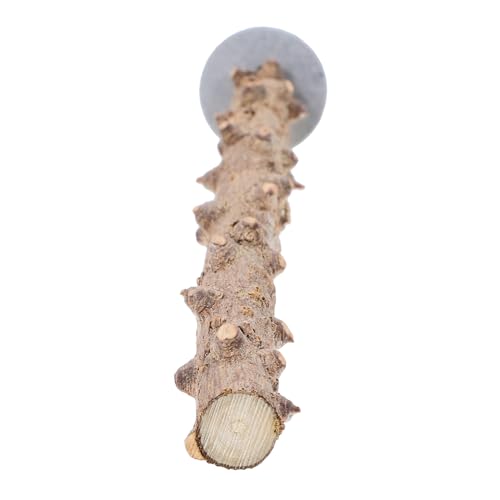 DECOMELODY Natürliche Papageien Sitzstange aus Holz Vogel Kauspielzeug für Wellensittiche und Sittiche zur Krallenpflege und Zahngesundheit Geeignet DECOMELODY Natürliche Papageien Sitzstange aus Holz Vogel Kauspielzeug für Wellensittiche und Sittiche zur Krallenpflege und Zahngesundheit Geeignet von DECOMELODY