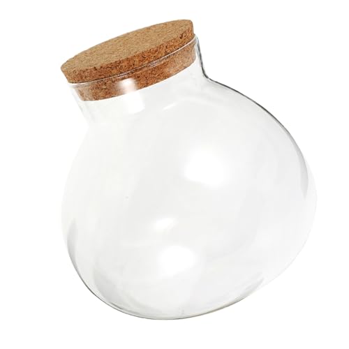 DECOMELODY Ökologische Mikrolandschaftsflasche Saftiges Terrarium Dekorationsglas Terrarium Ökologische Flasche Selber Machen Moos-landschaftsbauflasche Saftiges Glas Kork Transparent von DECOMELODY