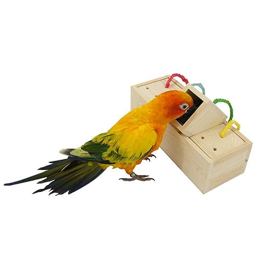DECOMELODY Interaktives Papageien Spielzeug Bildungsreicher Kauspielzeug Für Vögel Futter Suchspielzeug Für Wellensittiche Und Papageien Sichere Materialien Unterhaltung Fähigkeiten DECOMELODY Interaktives Papageien Spielzeug Bildungsreicher Kauspielzeug Für Vögel Futter Suchspielzeug Für Wellensittiche Und Papageien Sichere Materialien Unterhaltung Fähigkeiten von DECOMELODY