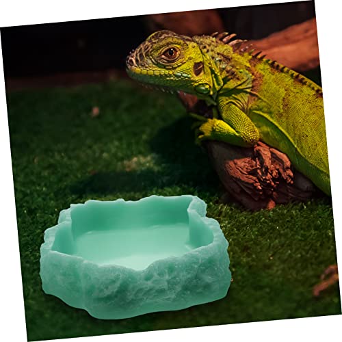 DECOMELODY Reptilien Futter und Wassernapf Nachtleuchtend Robust Resin Futterschale Für Schildkröten Geckos Schlangen Eidechsen Stabiler Trink und Futterbehälter Für Terrarien Haustiere von DECOMELODY