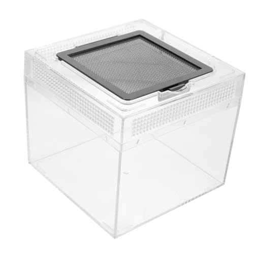 DECOMELODY Reptilien Futterbox Klein Transparent mit Belüftung Futterbehälter für Vogelspinnen Eidechsen Schildkröten Fütterungsgehege mit Magnetischem Schiebedeckel Langlebig Sicher DECOMELODY Reptilien Futterbox Klein Transparent mit Belüftung Futterbehälter für Vogelspinnen Eidechsen Schildkröten Fütterungsgehege mit Magnetischem Schiebedeckel Langlebig Sicher von DECOMELODY