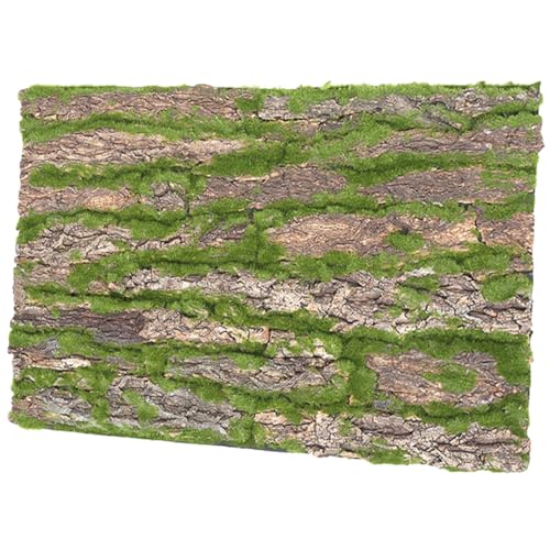 DECOMELODY Reptilien Terrarium Rückwand Baumrinde Klettermatte Natürliche Korkrinde Dekoration für Schildkröten Lebensechte Kletterplattform Langlebig und Wasserresistent DECOMELODY Reptilien Terrarium Rückwand Baumrinde Klettermatte Natürliche Korkrinde Dekoration für Schildkröten Lebensechte Kletterplattform Langlebig und Wasserresistent von DECOMELODY