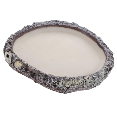 DECOMELODY Reptilien Wasserschale und Futternapf aus Langlebigem Material Vielseitig für Wasser und Futter Geeignet mit Sicherheitsfördernder Farbgestaltung für Eidechsen Schildkröten und DECOMELODY Reptilien Wasserschale und Futternapf aus Langlebigem Material Vielseitig für Wasser und Futter Geeignet mit Sicherheitsfördernder Farbgestaltung für Eidechsen Schildkröten und von DECOMELODY