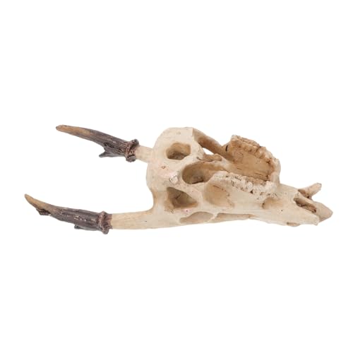 DECOMELODY Reptilienversteck Resin Schädel Höhle Langlebiges Terrarium Versteck für Bartagamen Schlangen Eidechsen Schildkröten und Kriechtiere Leicht zu Platzieren Pflegeleicht Mittelgroß DECOMELODY Reptilienversteck Resin Schädel Höhle Langlebiges Terrarium Versteck für Bartagamen Schlangen Eidechsen Schildkröten und Kriechtiere Leicht zu Platzieren Pflegeleicht Mittelgroß von DECOMELODY