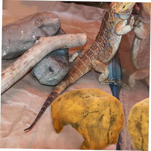 DECOMELODY Resin Reptilien Versteck Höhle Kleines Schildkrötenversteck mit Klettermöglichkeit für Terrarium Aquarium Dekoration Lebensechte Felsenoptik Bpa frei Langlebig und Leicht zu von DECOMELODY