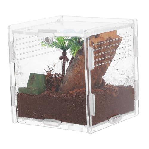 DECOMELODY Spinnenbox Für Haustiere Springender Spinnenlebensraum Spinnengehege Zubehör Schildkrötengehege Drinnen Zubehör Für Den Lebensraum Der Springspinne Frosch-Panzer Cricketkäfig Acryl von DECOMELODY
