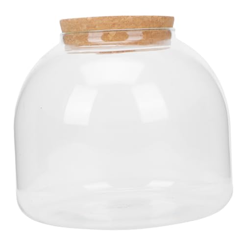 DECOMELODY Terrarium Flasche Landschaft DIY Ökologische Pflanzenflasche mit Korkstopfen Langlebig Dekorativ für Wohnzimmer Büro Handgefertigte Geschenkidee Sichere Glatte Oberfläche DECOMELODY Terrarium Flasche Landschaft DIY Ökologische Pflanzenflasche mit Korkstopfen Langlebig Dekorativ für Wohnzimmer Büro Handgefertigte Geschenkidee Sichere Glatte Oberfläche von DECOMELODY
