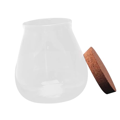 DECOMELODY Transparente Glasvase mit Korkverschluss für DIY Mikrolandschaft Candy Jar Pflanzgefäß und Dekoration Kreative Kleine Glasdose für Pflanzen Süßigkeiten Tischdeko und Aufbewahrung DECOMELODY Transparente Glasvase mit Korkverschluss für DIY Mikrolandschaft Candy Jar Pflanzgefäß und Dekoration Kreative Kleine Glasdose für Pflanzen Süßigkeiten Tischdeko und Aufbewahrung von DECOMELODY