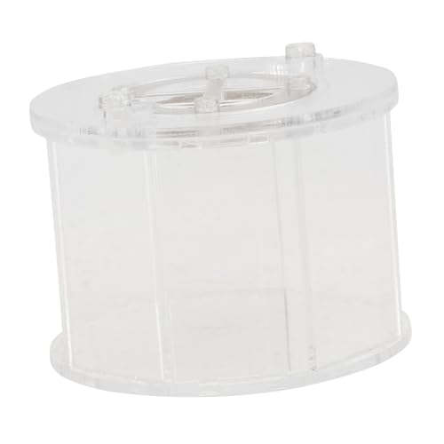 DECOMELODY Transparente Reptilien und Insektenbeobachtungsbox mit Belüftung Kompakt und Handlich als Futter und Zuchtbehälter für Terrarien und Gottesanbeterin Haltung DECOMELODY Transparente Reptilien und Insektenbeobachtungsbox mit Belüftung Kompakt und Handlich als Futter und Zuchtbehälter für Terrarien und Gottesanbeterin Haltung von DECOMELODY