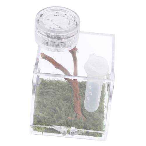 DECOMELODY Transparente Spinnen Habitatbox mit Beleuchtung Kleine Sprungspinnen Aufzuchtbox Teiliges mit Belüftung Tragbares Terrarium für Spinnen und Insekten Geeignet für Outdoor Einsatz von DECOMELODY
