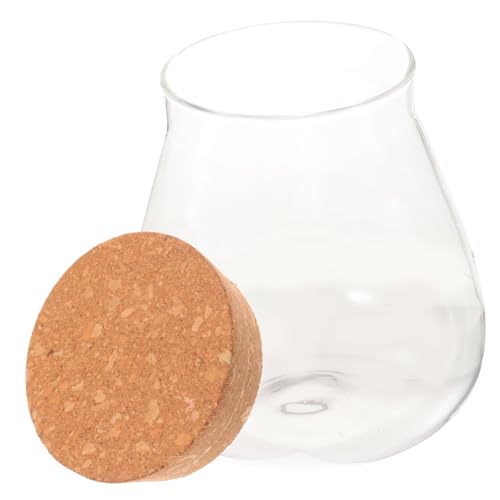 DECORNIJIA Micro Landschaft Glasflasche mit Korkverschluss Dekoratives Pflanzen Terrarium Vielseitiges Aufbewahrungsglas für Zimmerpflanzen Büro und DIY Ornamente von DECORNIJIA