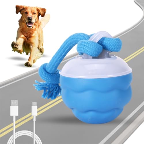 DEECOZY Interaktives Hundespielzeug, Ball mit Bewegungsaktivierung, lustiger, beweglicher intelligenter Hundeball mit zwei Kauseilen, Hundespielzeug für Langeweile, wiederaufladbarer beweglicher DEECOZY Interaktives Hundespielzeug, Ball mit Bewegungsaktivierung, lustiger, beweglicher intelligenter Hundeball mit zwei Kauseilen, Hundespielzeug für Langeweile, wiederaufladbarer beweglicher von DEECOZY