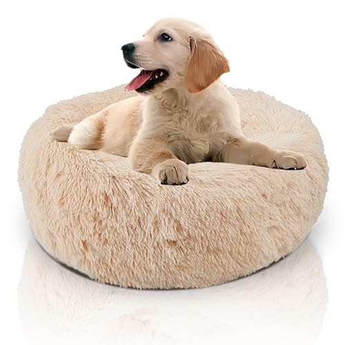 DEFACTO Hundebett, Hundekissen in Leinenoptik, Hundekorb, erhöhte Ränder, rutschfeste Unterseite Dia (Beige, Gr. XXL - 100cm x 100cm) von DEFACTO